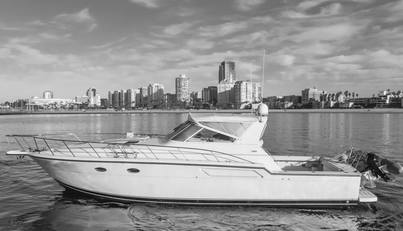 MISS MICHELLE For Sale image11