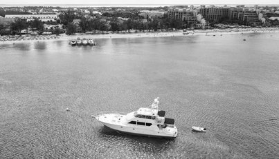 MAHA For Sale image39