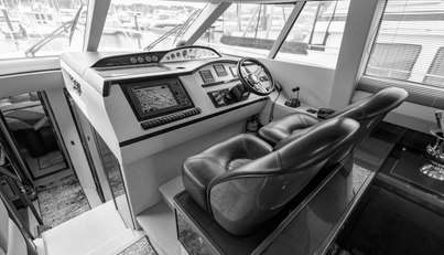 Enzo For Sale image66