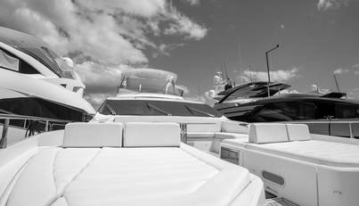 JUNIOR For Sale image14