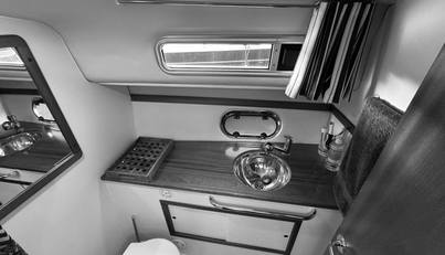 Morning Star For Sale image14