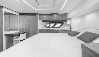 TARTUFO For Sale image34