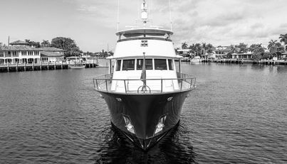 STARLIGHT For Sale image65