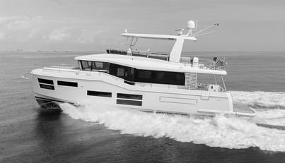 Opilio For Sale image3