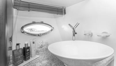 FROGGY For Sale image26