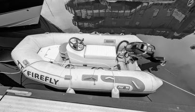 Firefly Of Chichester For Sale image50