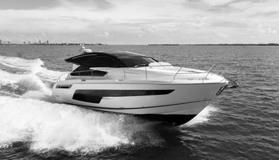 noname For Sale image1