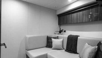 Greyhound For Sale image56