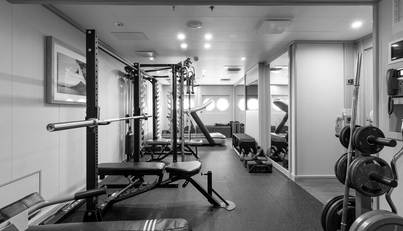 AMADEA For Sale image87