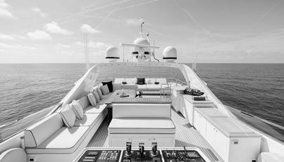 ROYALE X For Sale image3