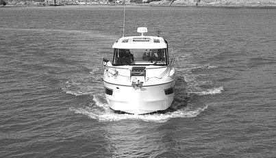noname For Sale image6