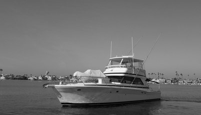 Yacht Z For Sale image12