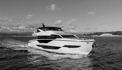 Aurelius For Sale image40