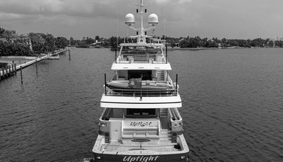 UPTIGHT For Sale image5