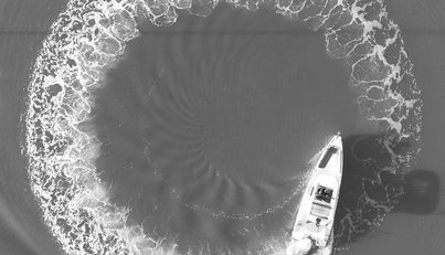 HAYLU For Sale image2