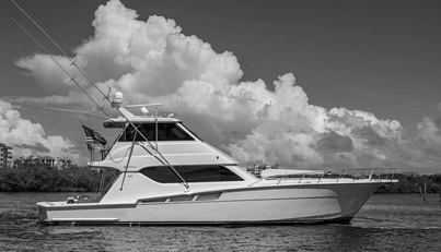 noname For Sale image4