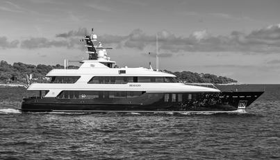 BRAVADO For Sale image1