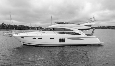 Enzo For Sale image82