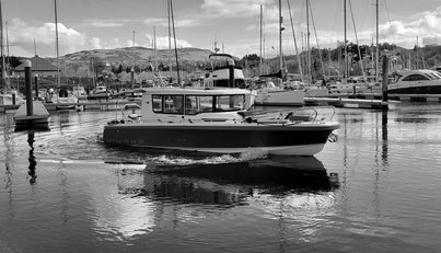 Endless Fun For Sale image6