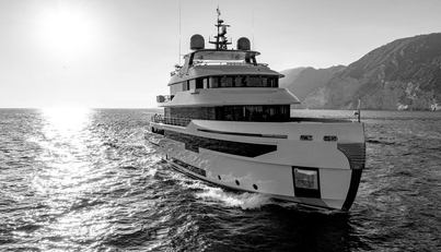 NEVER SAY NEVER AGAIN For Sale image26