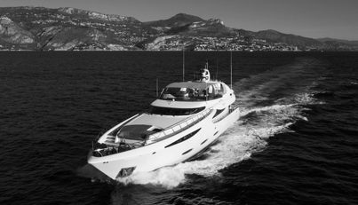 VIKING III For Sale image1