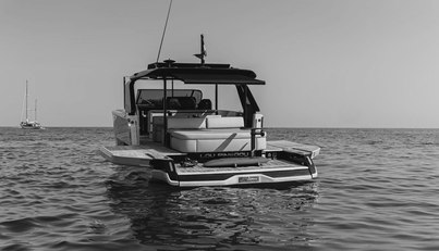 LOU PINEDOU For Sale image10