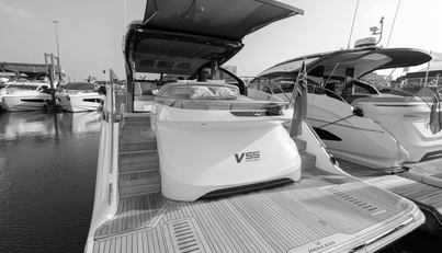 V55094 For Sale image7
