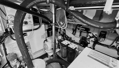 TANGERINE MOON For Sale image41