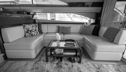 Enzo For Sale image57