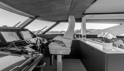 Aurelius For Sale image27