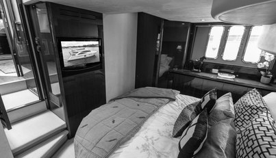 Enzo For Sale image49