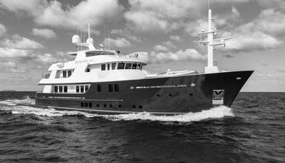 ZEXPLORER For Sale image1