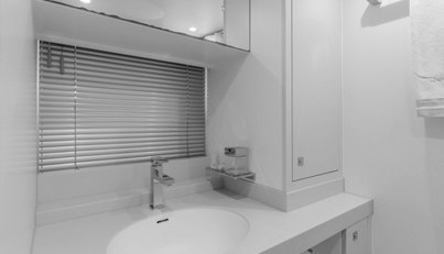 GYRFALCON For Sale image76