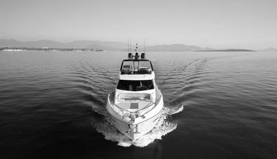 DOGU For Sale image9