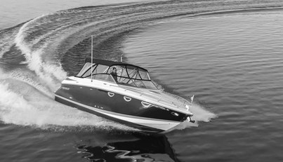 Sophia Grace For Sale image35
