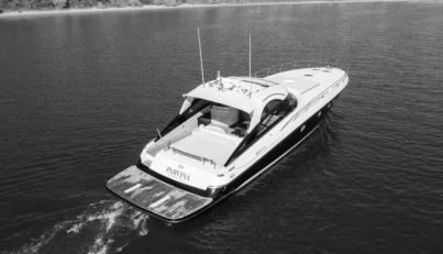 PARVINA For Sale image5