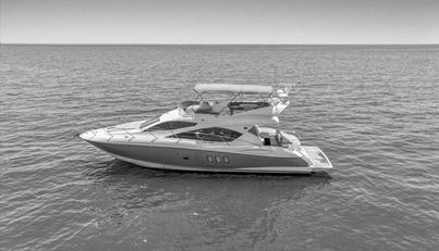 Cheers For Sale image9