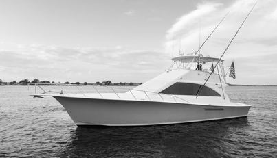 Gorilla Bowt For Sale image17