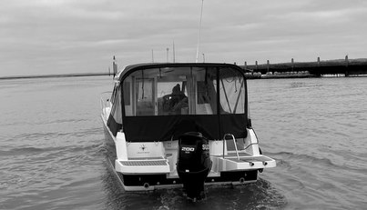 noname For Sale image4
