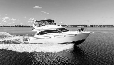 noname For Sale image10