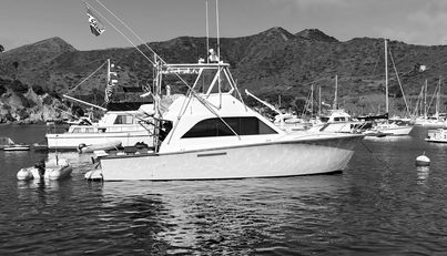 Aqua Ma'am For Sale image3