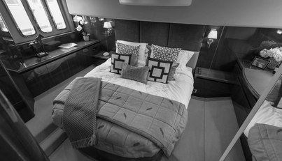 Enzo For Sale image43