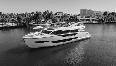 WHITE STAR For Sale image43