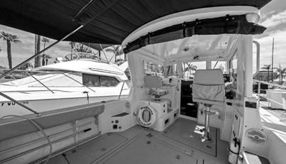 noname For Sale image8