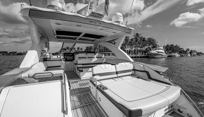 noname For Sale image28