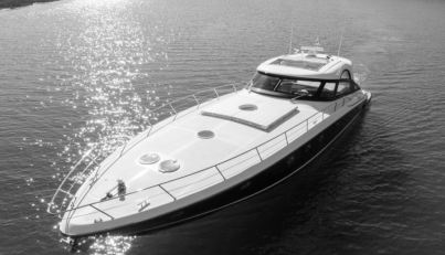 PARVINA For Sale image2