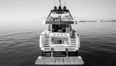 DOGU For Sale image13