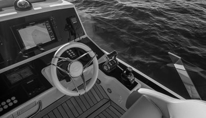 SNOWWHITE For Sale image22