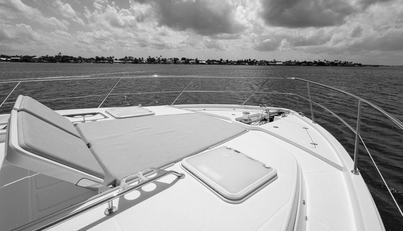 noname For Sale image13