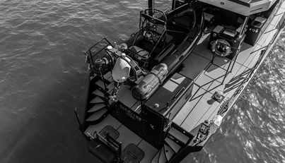 VANGUARD For Sale image5